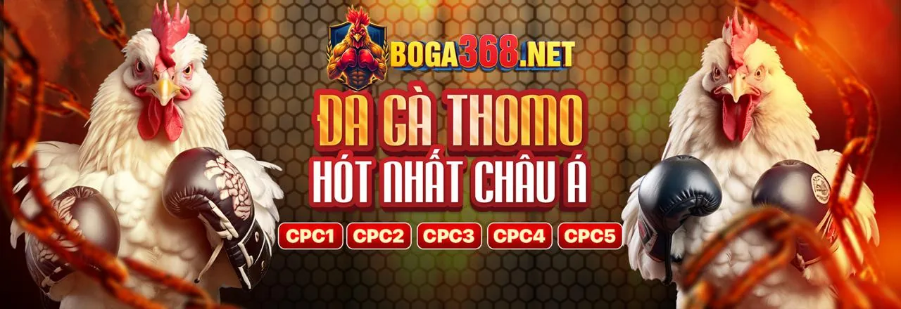 Đá gà trực tuyến trên ứng dụng 365bet app