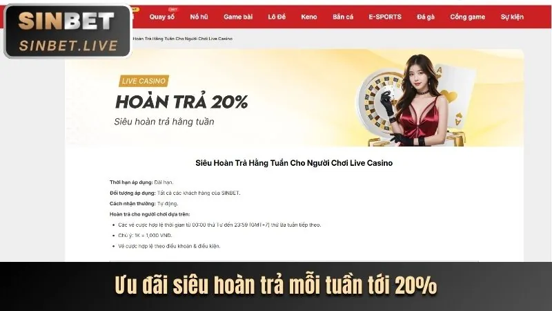 Trải Nghiệm Live Casino Chân Thực